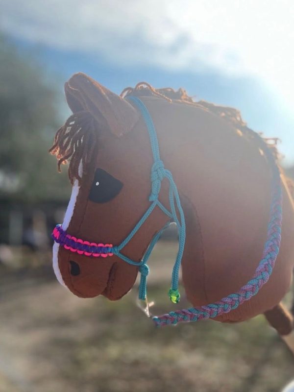 Diva-hobby-horse (1)