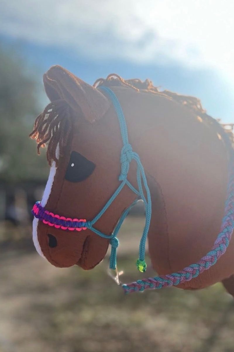 Diva-hobby-horse (1)