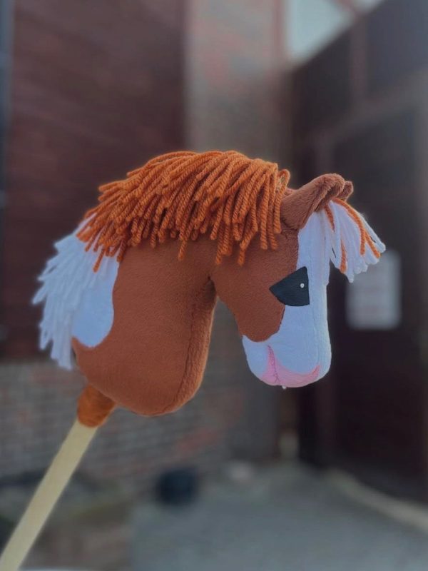 Diva-hobby-horse (4)